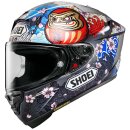 Shoei X-SPR Pro Marquez Motegi5 TC-1 Helm blau rot grau